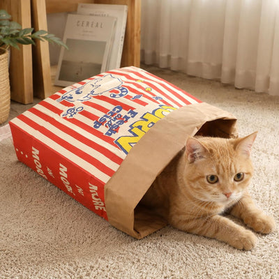 The Popcorn Crinkle Bag